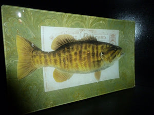 Bass Fish Decoupage Tray