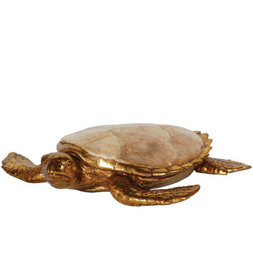 Golden Capiz Turtle