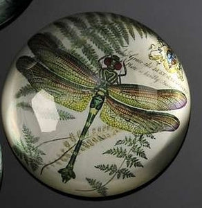 BOTANICAL GREEN DRAGONFLY GLASS PAPERWEIGHT