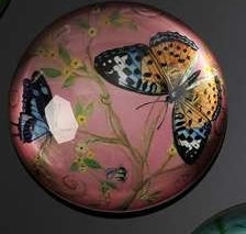 BOTANICAL BUTTERFLY WITH PINK BACKGROUND PAPERWEIGHT