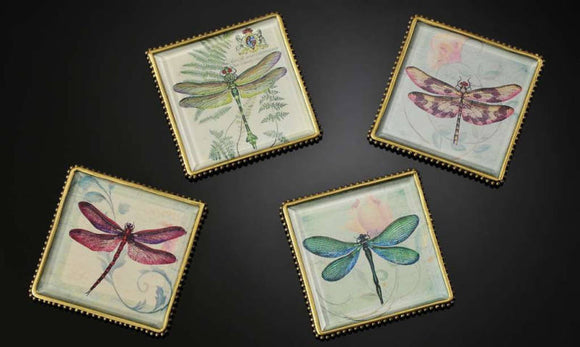 Botanical Dragonfly Plaques/Coasters Set Of 4